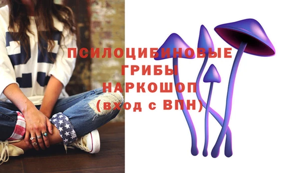 мяу мяу кристалл Алексин