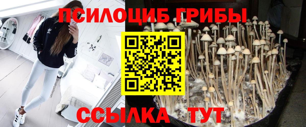 Галлюциногенные грибы GOLDEN TEACHER  Вход с VPN  Котовск  Псилоцибиновые грибы мицелий 