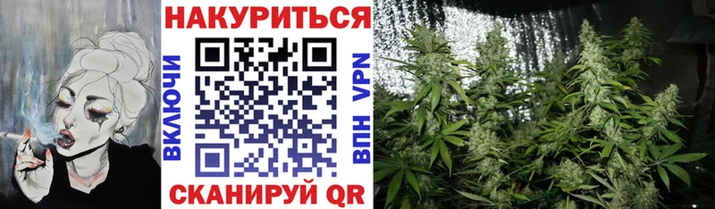 blacksprut ССЫЛКА  цена   Котовск  Каннабис сатива 